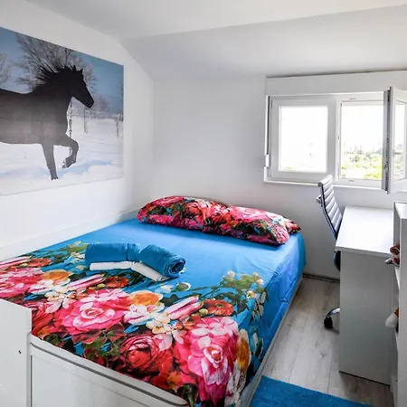 In Novigrad * Novigrad Istria