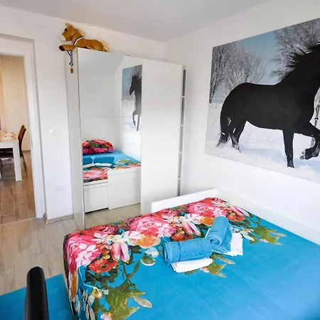 Amazing In Novigrad With Swimming Pool Apartman