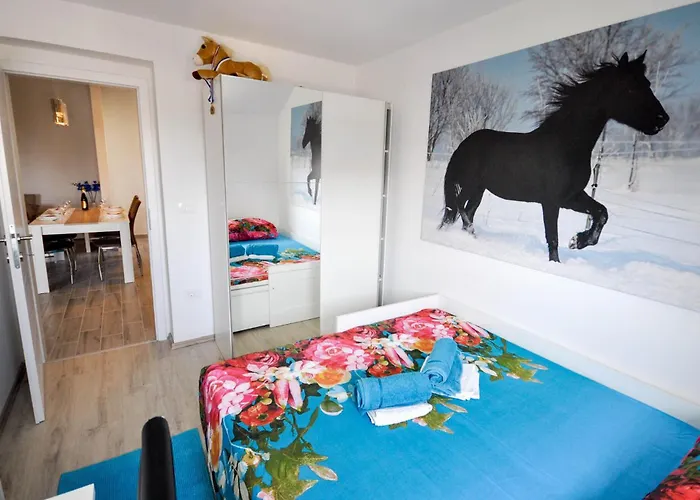 In Novigrad Διαμέρισμα